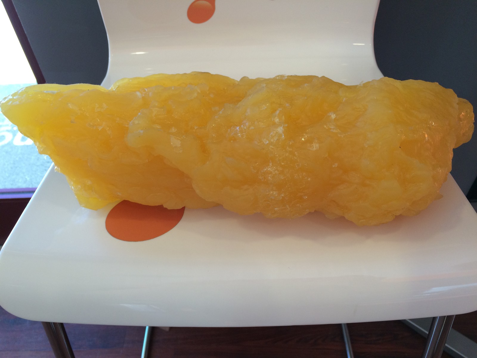 5 lbs of fat- Actual Size