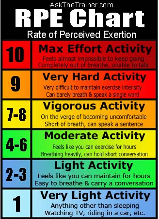 rowing workout
